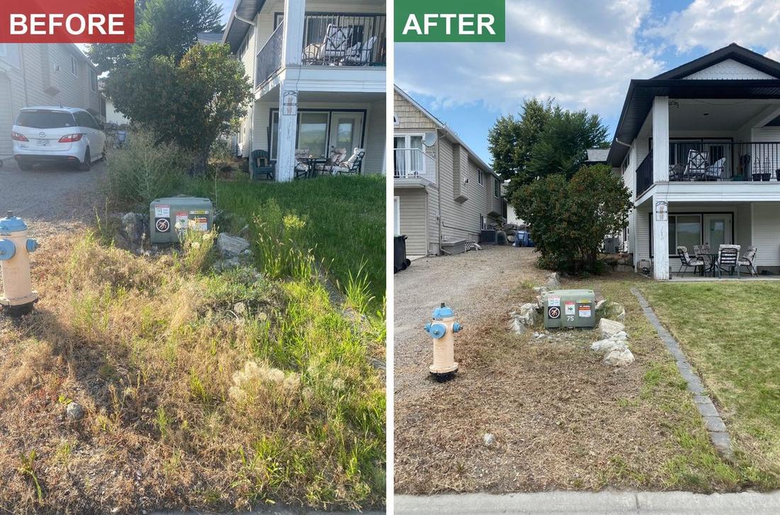 A boulevard strip overgrown with dry grass and weeds, then cleared back to clean gravel with the hydrant and utility box visible again