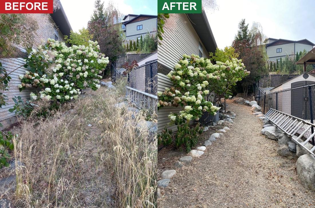 A side path buried under waist-high dry grass with a hydrangea barely visible, then cleared to a walkable gravel path with the boulder edging exposed